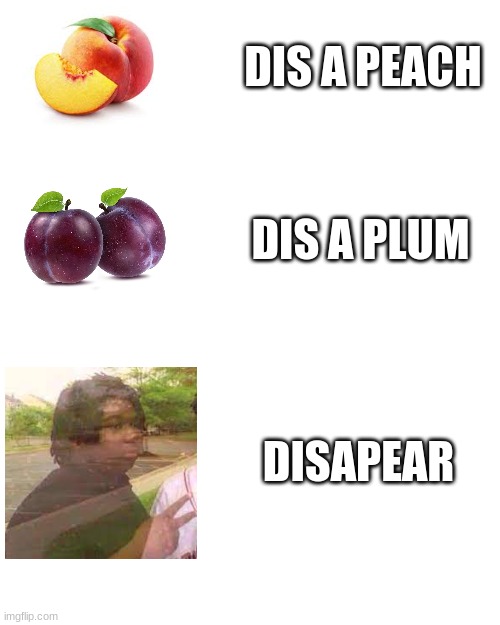 Blank Transparent Square Meme | DIS A PEACH; DIS A PLUM; DISAPEAR | image tagged in memes,blank transparent square | made w/ Imgflip meme maker