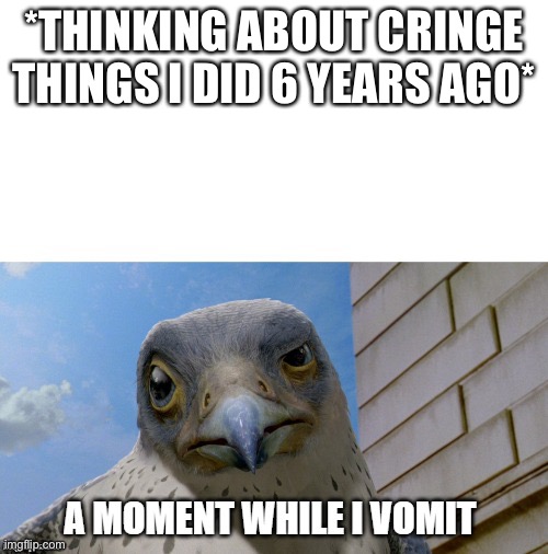 "__? A moment while I VOMIT." | *THINKING ABOUT CRINGE THINGS I DID 6 YEARS AGO* | image tagged in __ a moment while i vomit | made w/ Imgflip meme maker