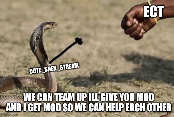 Fist bump the snek | ECT CUTE_SNEK_STREAM WE CAN TEAM UP ILL GIVE YOU MOD AND I GET MOD SO WE CAN HELP EACH OTHER | image tagged in fist bump the snek | made w/ Imgflip meme maker