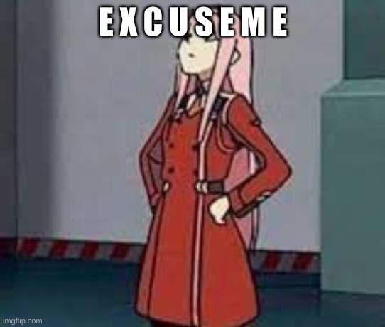 zero two what | E X C U S E M E | image tagged in zero two what | made w/ Imgflip meme maker