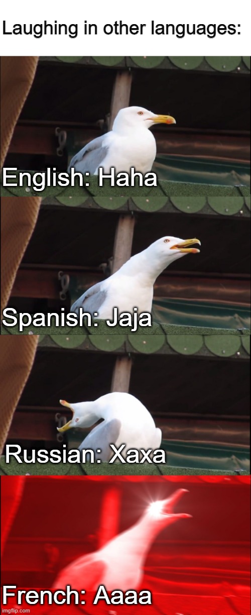 instead of lol | Laughing in other languages:; English: Haha; Spanish: Jaja; Russian: Xaxa; French: Aaaa | image tagged in memes,inhaling seagull,laughing | made w/ Imgflip meme maker