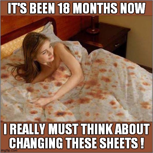 I Hope It's Just A Pattern Issue ! | IT'S BEEN 18 MONTHS NOW; I REALLY MUST THINK ABOUT
CHANGING THESE SHEETS ! | image tagged in bed,sheets,pattern | made w/ Imgflip meme maker