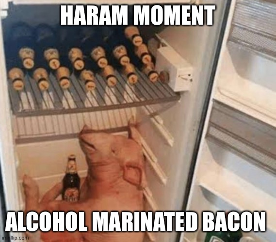 Haram | HARAM MOMENT; ALCOHOL MARINATED BACON | image tagged in haram,muslim,muslims,religion,bacon,abrahamic religions | made w/ Imgflip meme maker