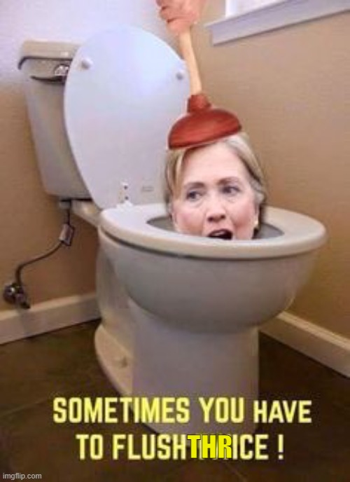 FLUSH HILLARY | THR | image tagged in hillary clinton | made w/ Imgflip meme maker