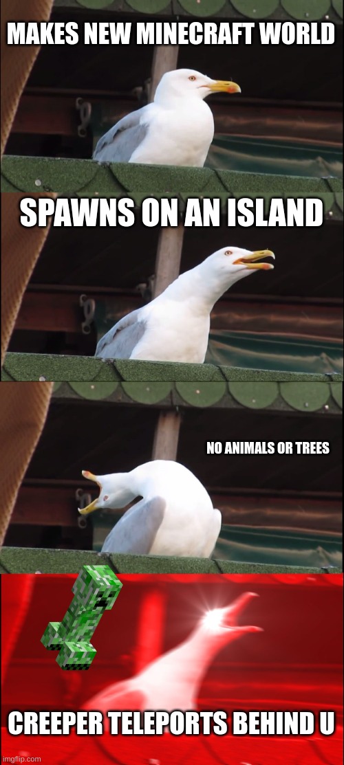 hate when this happens | MAKES NEW MINECRAFT WORLD; SPAWNS ON AN ISLAND; NO ANIMALS OR TREES; CREEPER TELEPORTS BEHIND U | image tagged in memes,inhaling seagull | made w/ Imgflip meme maker