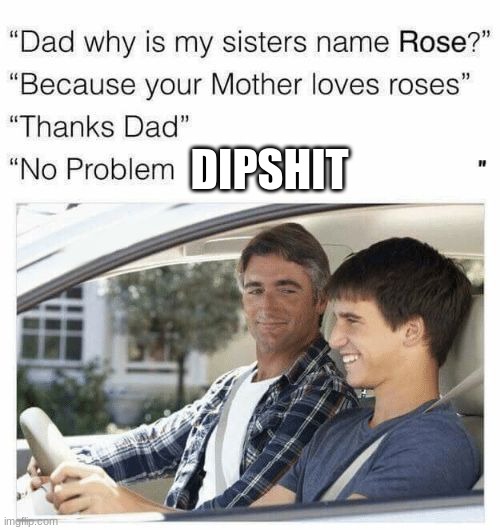 Why is my sister's name Rose | DIPSHIT | image tagged in why is my sister's name rose | made w/ Imgflip meme maker