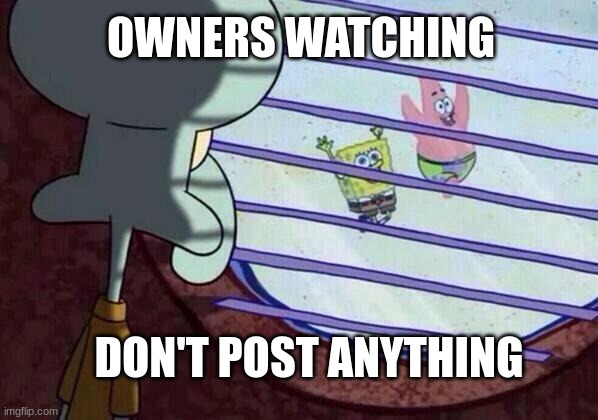 peachy is watching | OWNERS WATCHING; DON'T POST ANYTHING | image tagged in squidward window | made w/ Imgflip meme maker