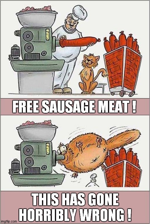 This Cat Didn't Think It Through ! | FREE SAUSAGE MEAT ! THIS HAS GONE HORRIBLY WRONG ! | image tagged in cats,cartoons,sausages | made w/ Imgflip meme maker