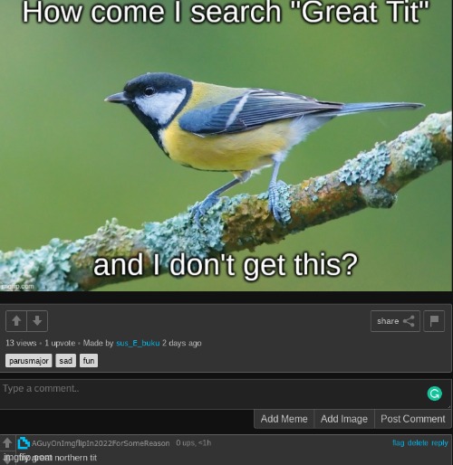Yes this is two screeenshots. No, i won't tell you how it looks like one. | made w/ Imgflip meme maker