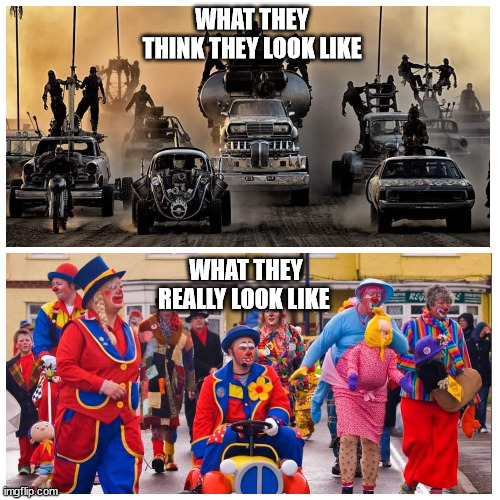 Truckers | WHAT THEY THINK THEY LOOK LIKE; WHAT THEY REALLY LOOK LIKE | image tagged in truckers,convoy,anti-vaxxer | made w/ Imgflip meme maker