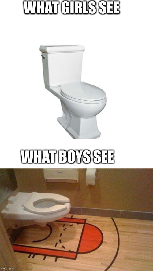 IS this true? | WHAT GIRLS SEE; WHAT BOYS SEE | image tagged in blank white template,basketball,bathroom,3pointshot,buzzerbeater | made w/ Imgflip meme maker