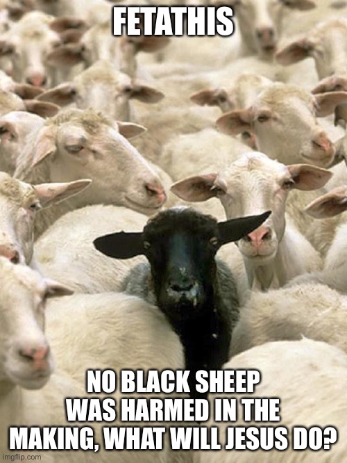 WWJD | FETATHIS; NO BLACK SHEEP WAS HARMED IN THE MAKING, WHAT WILL JESUS DO? | image tagged in jesus,feta | made w/ Imgflip meme maker