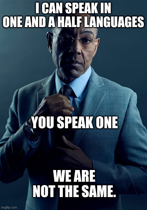 Kind of lingual | I CAN SPEAK IN ONE AND A HALF LANGUAGES; YOU SPEAK ONE; WE ARE NOT THE SAME. | image tagged in gus fring we are not the same,funny | made w/ Imgflip meme maker