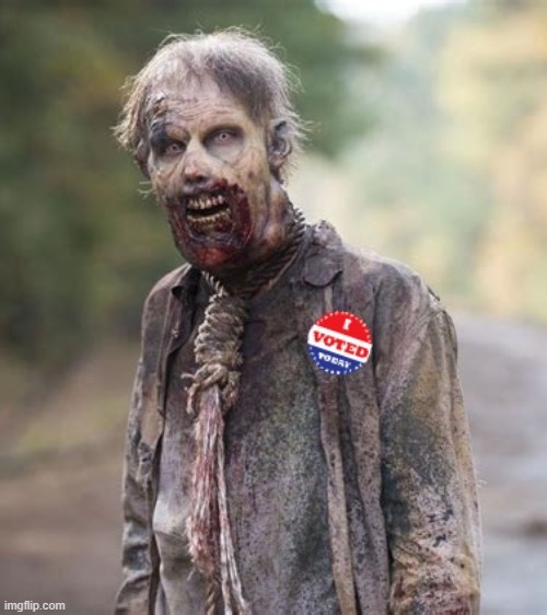 Dead Voter | image tagged in dead voter | made w/ Imgflip meme maker