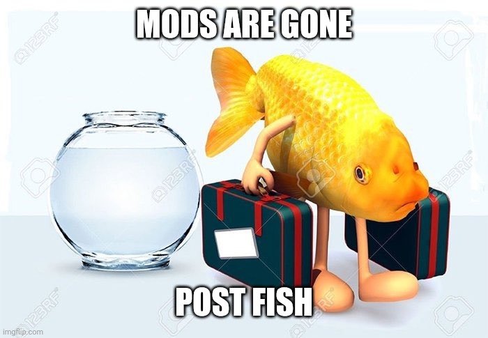 Stock photo | MODS ARE GONE; POST FISH | image tagged in stock photo | made w/ Imgflip meme maker