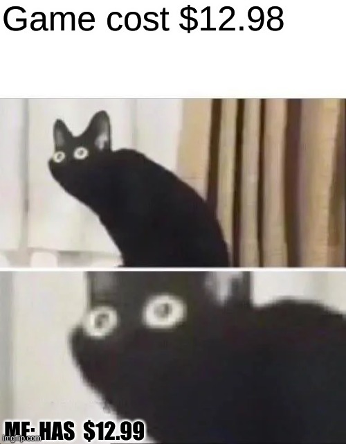 oof wallet | Game cost $12.98; ME: HAS  $12.99 | image tagged in oh no black cat | made w/ Imgflip meme maker