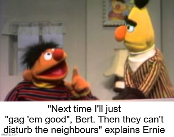 "Next time I'll just
"gag 'em good", Bert. Then they can't disturb the neighbours" explains Ernie | made w/ Imgflip meme maker