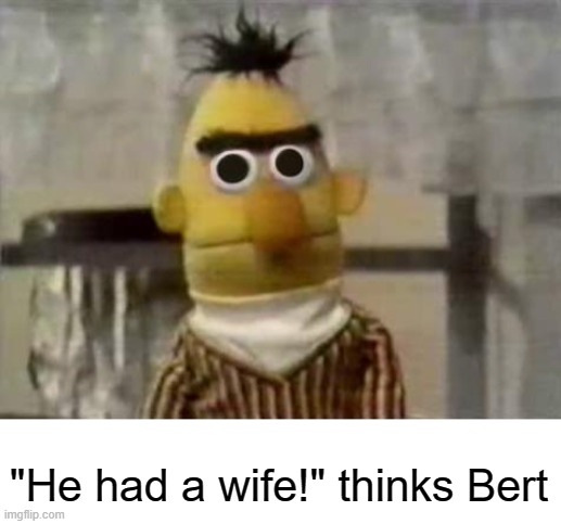 Bert Stare | "He had a wife!" thinks Bert | image tagged in bert stare | made w/ Imgflip meme maker