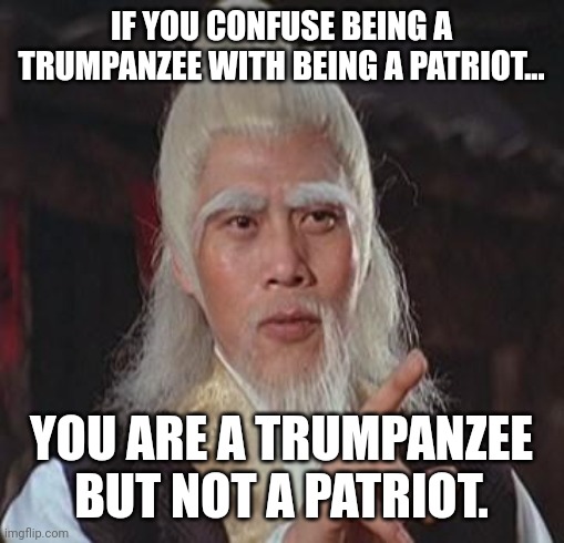 True patriot | IF YOU CONFUSE BEING A TRUMPANZEE WITH BEING A PATRIOT... YOU ARE A TRUMPANZEE BUT NOT A PATRIOT. | image tagged in trump supporter,republican,conservative,democrat,liberal,biden | made w/ Imgflip meme maker
