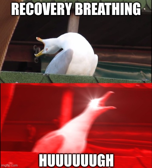 Demon slayer be like | RECOVERY BREATHING; HUUUUUUGH | image tagged in screaming bird,demon slayer,high-pitched demonic screeching | made w/ Imgflip meme maker