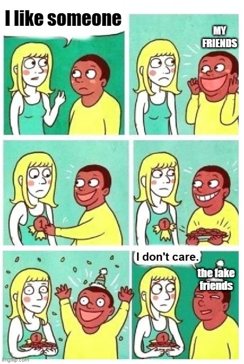 I don't care | I like someone; MY FRIENDS; the fake friends | image tagged in i don't care | made w/ Imgflip meme maker