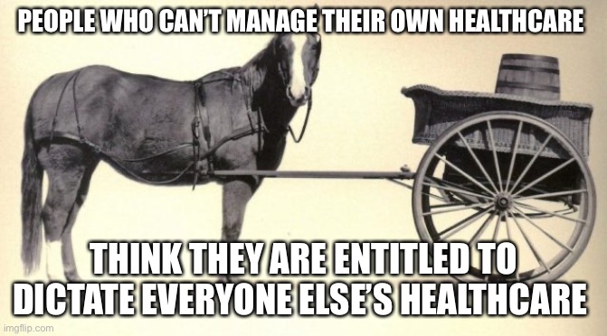 the cart before the horse | PEOPLE WHO CAN’T MANAGE THEIR OWN HEALTHCARE THINK THEY ARE ENTITLED TO DICTATE EVERYONE ELSE’S HEALTHCARE | image tagged in the cart before the horse | made w/ Imgflip meme maker