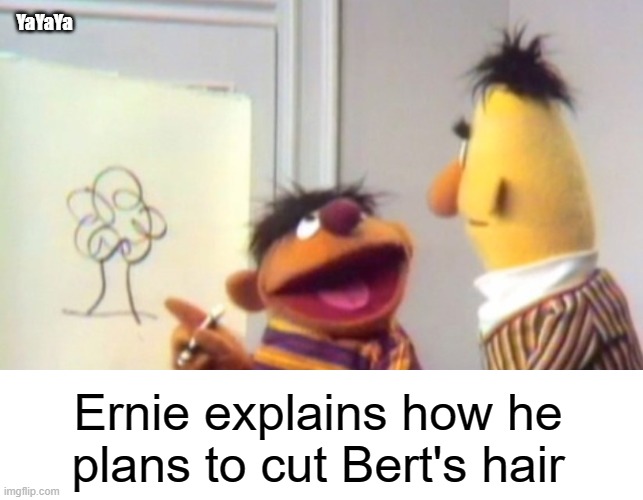 Ernie Starts A Side-Gig | YaYaYa; Ernie explains how he plans to cut Bert's hair | image tagged in ernie and bert,yayaya | made w/ Imgflip meme maker