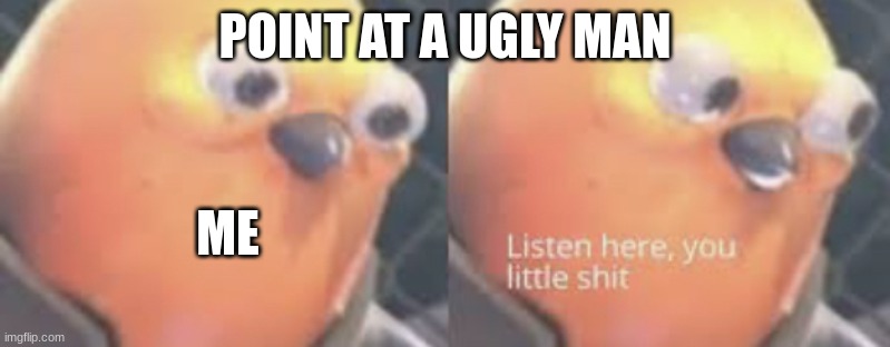 ty | POINT AT A UGLY MAN; ME | image tagged in listen here you little shit bird | made w/ Imgflip meme maker