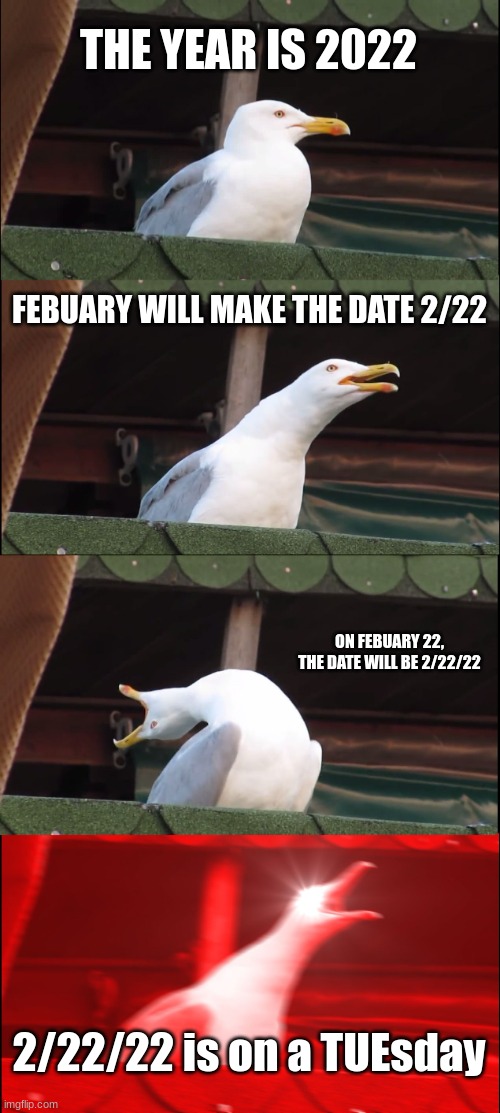 2/22/22 | THE YEAR IS 2022; FEBUARY WILL MAKE THE DATE 2/22; ON FEBUARY 22, THE DATE WILL BE 2/22/22; 2/22/22 is on a TUEsday | image tagged in memes,inhaling seagull | made w/ Imgflip meme maker