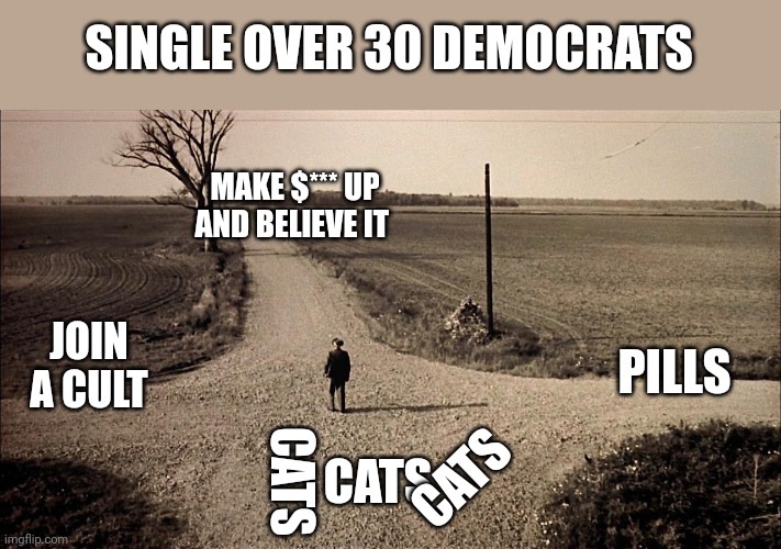 SINGLE OVER 30 DEMOCRATS; MAKE $*** UP AND BELIEVE IT; PILLS; JOIN A CULT; CATS; CATS; CATS | image tagged in funny memes | made w/ Imgflip meme maker