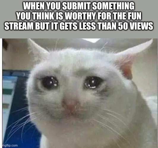 Sometimes man | WHEN YOU SUBMIT SOMETHING YOU THINK IS WORTHY FOR THE FUN STREAM BUT IT GETS LESS THAN 50 VIEWS | image tagged in crying cat | made w/ Imgflip meme maker