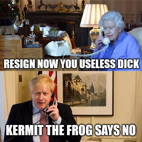 For God's sake Boris go! | RESIGN NOW YOU USELESS DICK; KERMIT THE FROG SAYS NO | image tagged in funny memes,boris johnson,lockdown,queen elizabeth | made w/ Imgflip meme maker