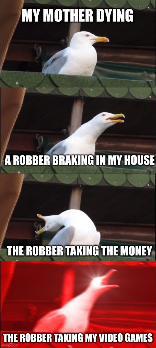 bride meme | MY MOTHER DYING; A ROBBER BRAKING IN MY HOUSE; THE ROBBER TAKING THE MONEY; THE ROBBER TAKING MY VIDEO GAMES | image tagged in memes,inhaling seagull | made w/ Imgflip meme maker