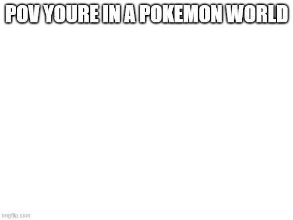 Blank White Template | POV YOURE IN A POKEMON WORLD | image tagged in blank white template | made w/ Imgflip meme maker