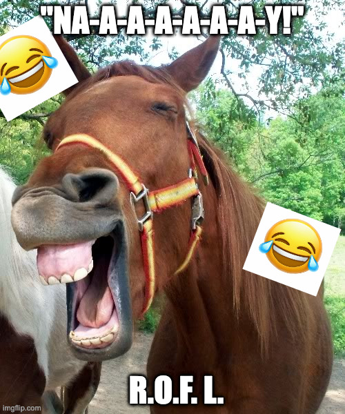 Laughing Horse | "NA-A-A-A-A-A-A-Y!" R.O.F. L. | image tagged in laughing horse | made w/ Imgflip meme maker