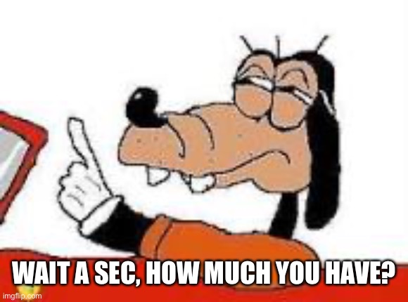 Gooby wait a sec | WAIT A SEC, HOW MUCH YOU HAVE? | image tagged in gooby wait a sec | made w/ Imgflip meme maker