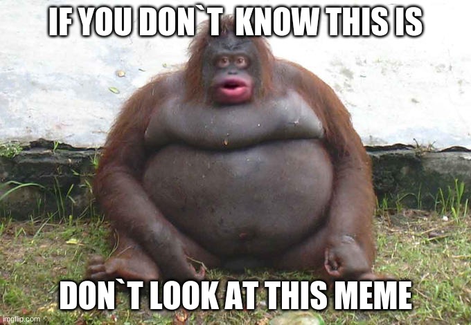 If you don`t know who this is you`re a BOT | IF YOU DON`T  KNOW THIS IS; DON`T LOOK AT THIS MEME | image tagged in monke | made w/ Imgflip meme maker