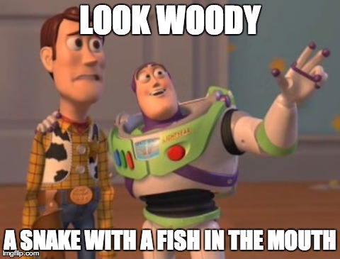 X, X Everywhere Meme | LOOK WOODY A SNAKE WITH A FISH IN THE MOUTH | image tagged in memes,x x everywhere | made w/ Imgflip meme maker