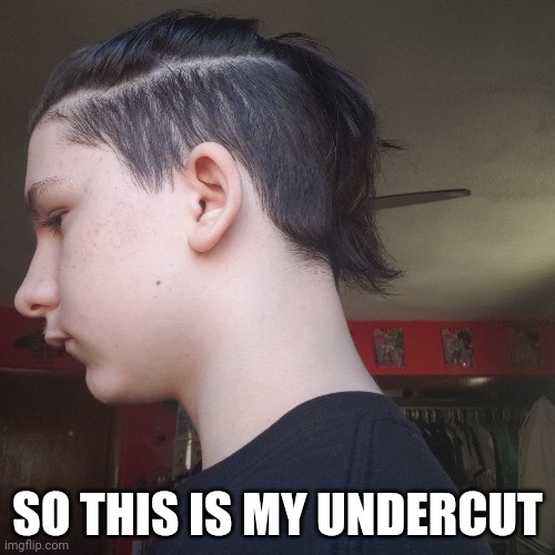 SO THIS IS MY UNDERCUT | made w/ Imgflip meme maker