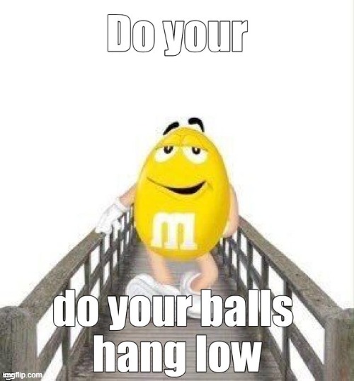 no | made w/ Imgflip meme maker
