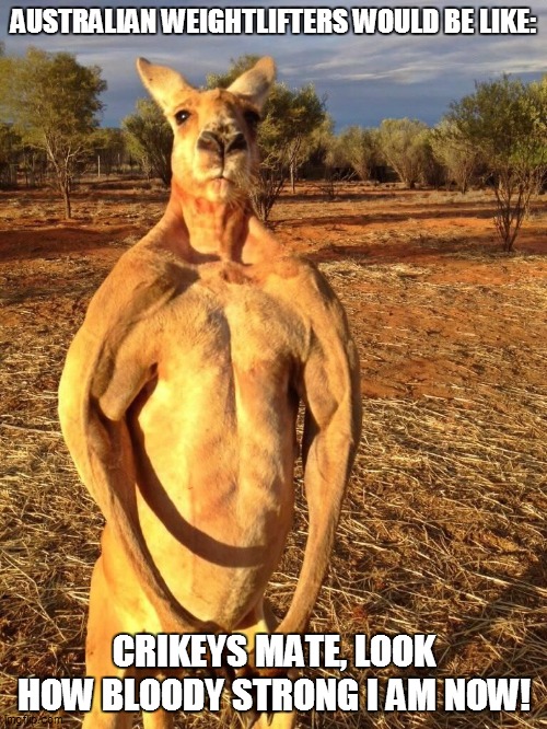 portrayl meme of Australian weightlifters | AUSTRALIAN WEIGHTLIFTERS WOULD BE LIKE:; CRIKEYS MATE, LOOK HOW BLOODY STRONG I AM NOW! | image tagged in buff kangaroo,kangaroo,australia,australians,memes,funny memes | made w/ Imgflip meme maker
