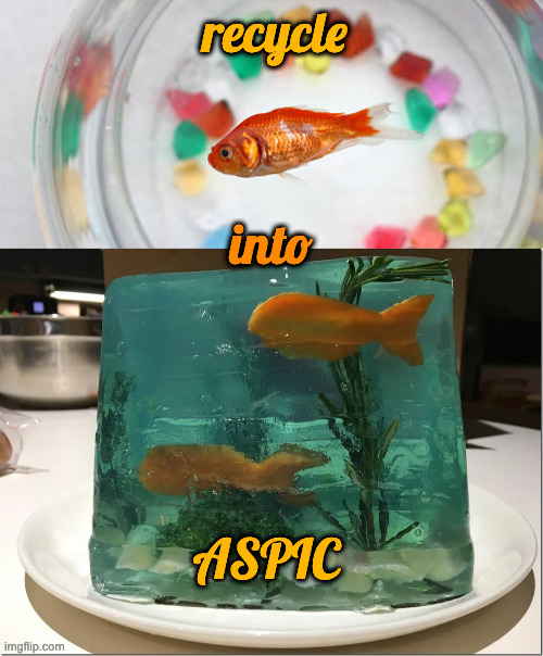 Aquarium Aspic | recycle; into; ASPIC | image tagged in aspic aquarium | made w/ Imgflip meme maker