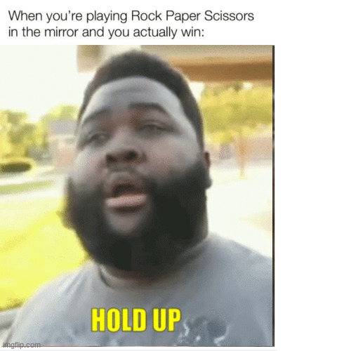 Hold up? | image tagged in what | made w/ Imgflip meme maker