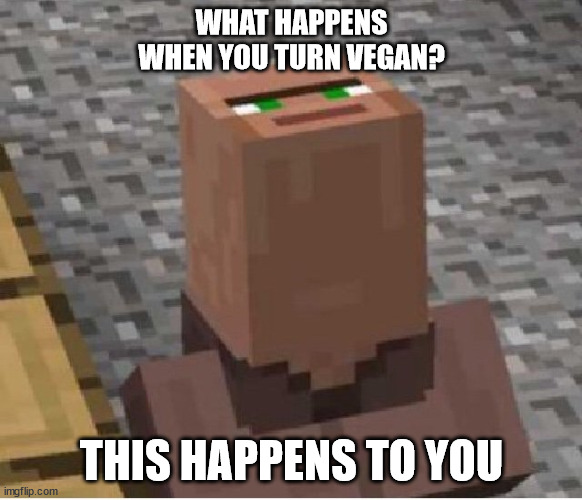 Minecraft Villager Looking Up | WHAT HAPPENS WHEN YOU TURN VEGAN? THIS HAPPENS TO YOU | image tagged in minecraft villager looking up | made w/ Imgflip meme maker