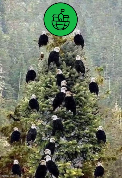 Bald Eagle Christmas tree | image tagged in bald eagle christmas tree | made w/ Imgflip meme maker
