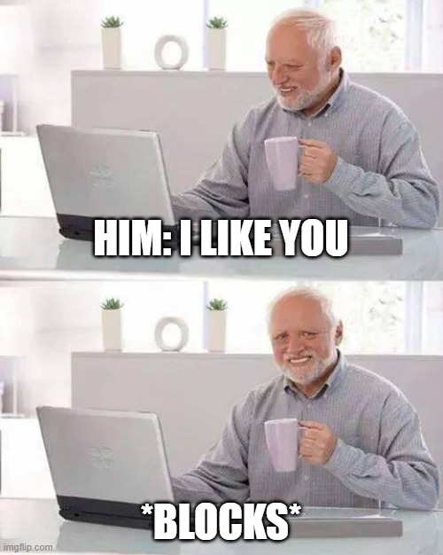 Not looking for a relationship | HIM: I LIKE YOU; *BLOCKS* | image tagged in memes,hide the pain harold | made w/ Imgflip meme maker