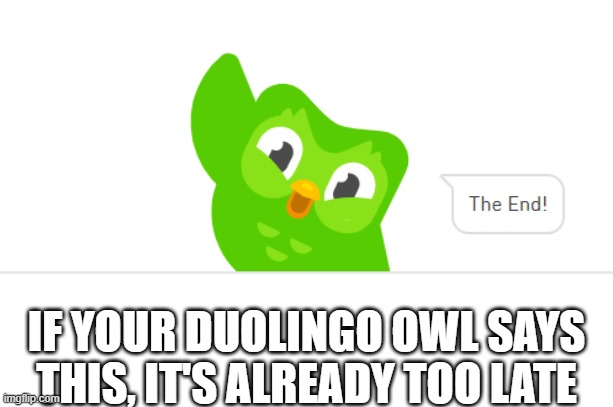 Duolingo | IF YOUR DUOLINGO OWL SAYS THIS, IT'S ALREADY TOO LATE | image tagged in owl | made w/ Imgflip meme maker