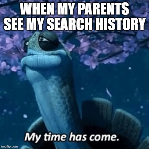Basically my parents | WHEN MY PARENTS SEE MY SEARCH HISTORY | image tagged in my time has come | made w/ Imgflip meme maker