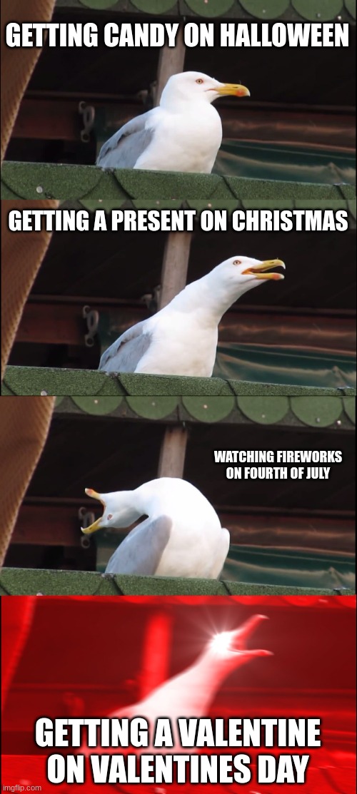 My dream come true | GETTING CANDY ON HALLOWEEN; GETTING A PRESENT ON CHRISTMAS; WATCHING FIREWORKS ON FOURTH OF JULY; GETTING A VALENTINE ON VALENTINES DAY | image tagged in memes,inhaling seagull | made w/ Imgflip meme maker