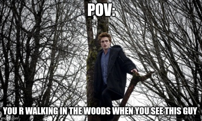 POV:; YOU R WALKING IN THE WOODS WHEN YOU SEE THIS GUY | made w/ Imgflip meme maker